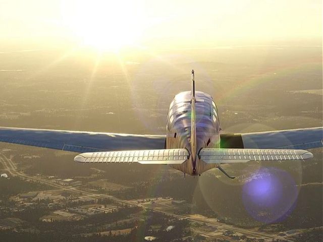 186. Gastonia Distress